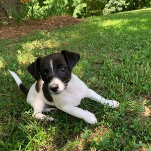 Meet your Posher, Janna